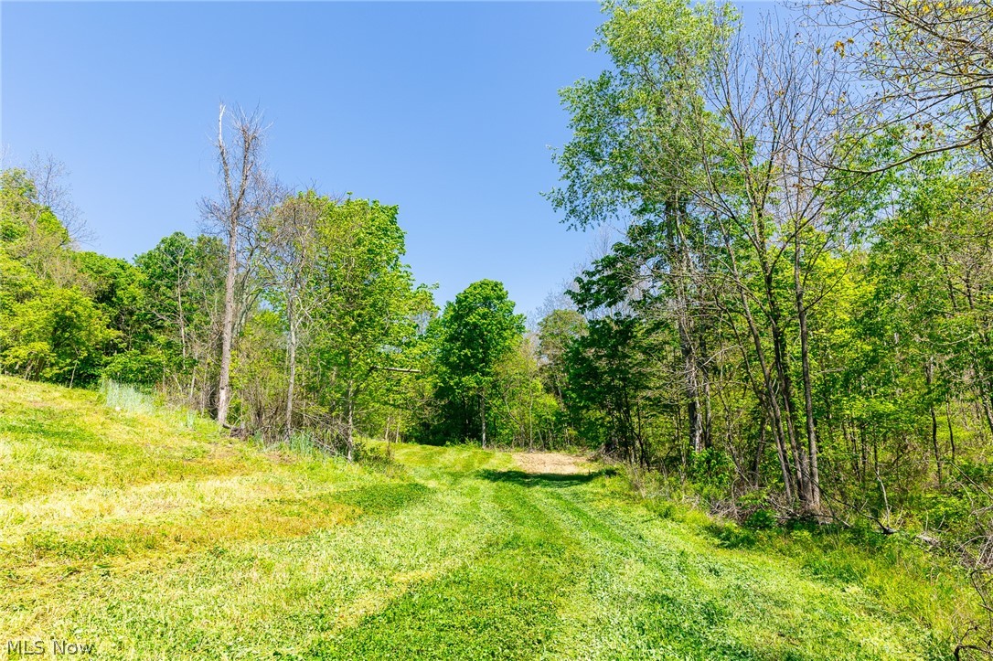 37500 Goose Run Road Dexter City OH 45727