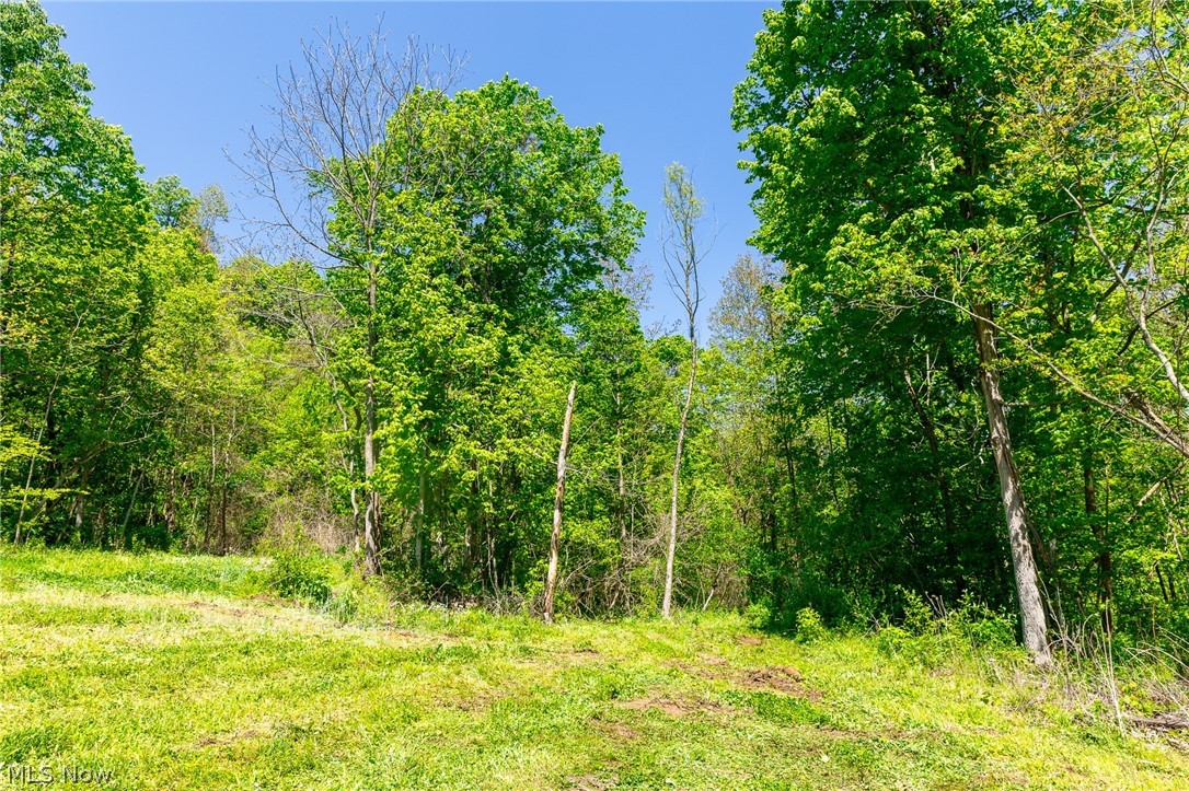 37500 Goose Run Road Dexter City OH 45727