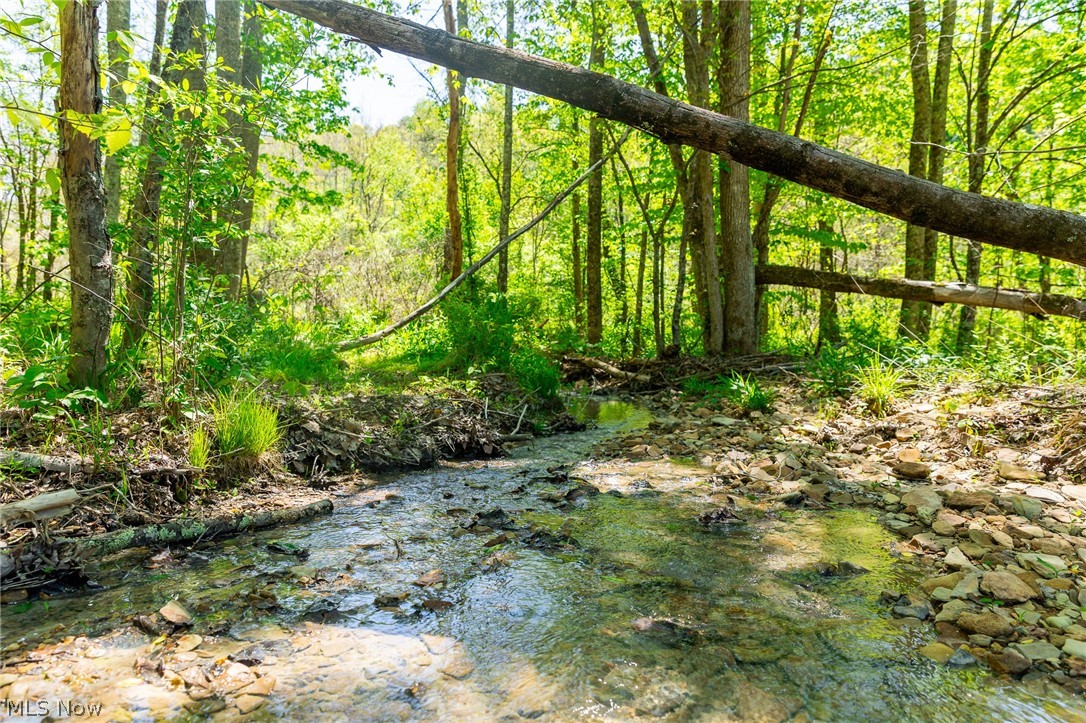 37500 Goose Run Road Dexter City OH 45727
