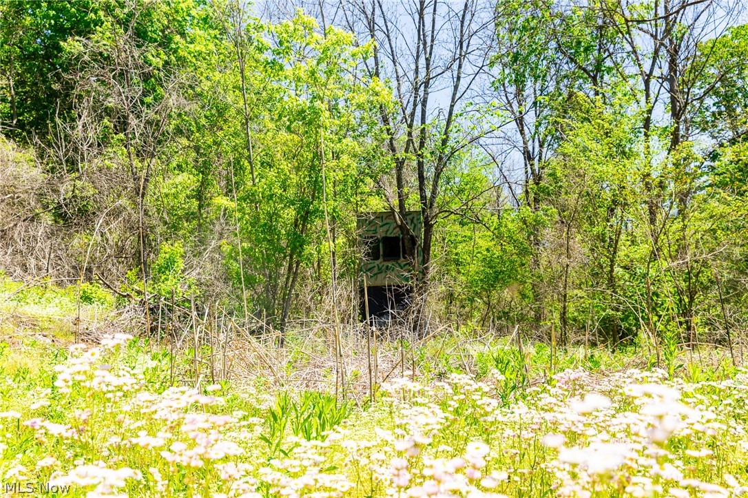 37500 Goose Run Road Dexter City OH 45727