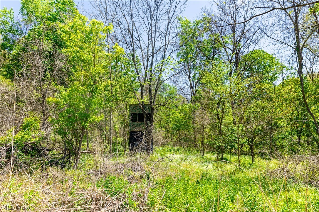 37500 Goose Run Road Dexter City OH 45727