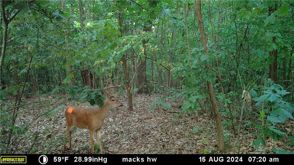 37500 Goose Run Road Dexter City OH 45727