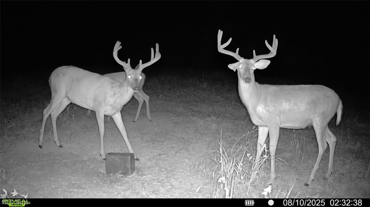 53320 County Road 425 Fresno OH 43824