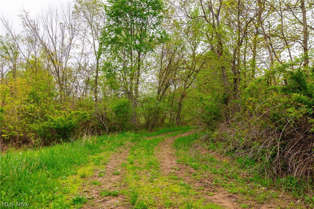 53320 County Road 425 Fresno OH 43824
