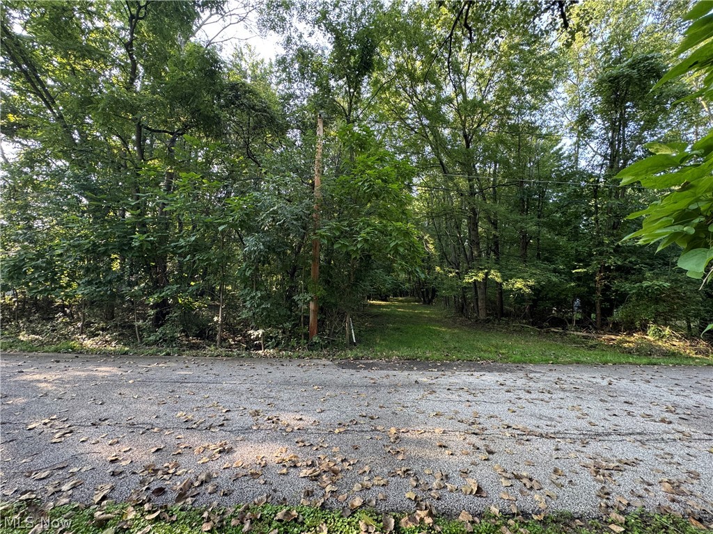 Antone Avenue Tallmadge OH 44278