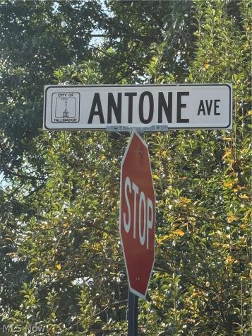 Antone Avenue Tallmadge OH 44278