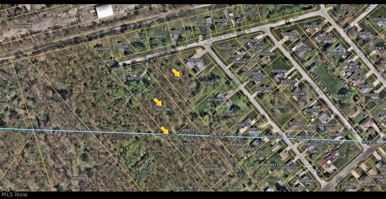 Antone Avenue Tallmadge OH 44278