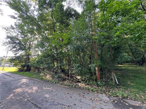 Antone Avenue Tallmadge OH 44278