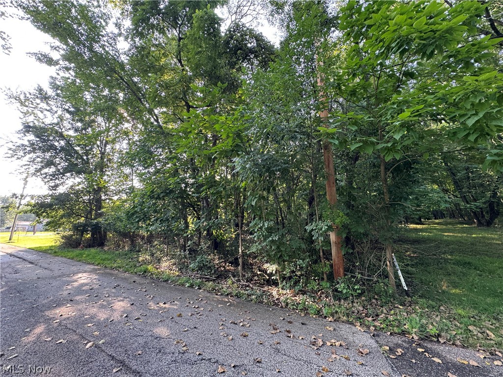 Antone Avenue Tallmadge OH 44278
