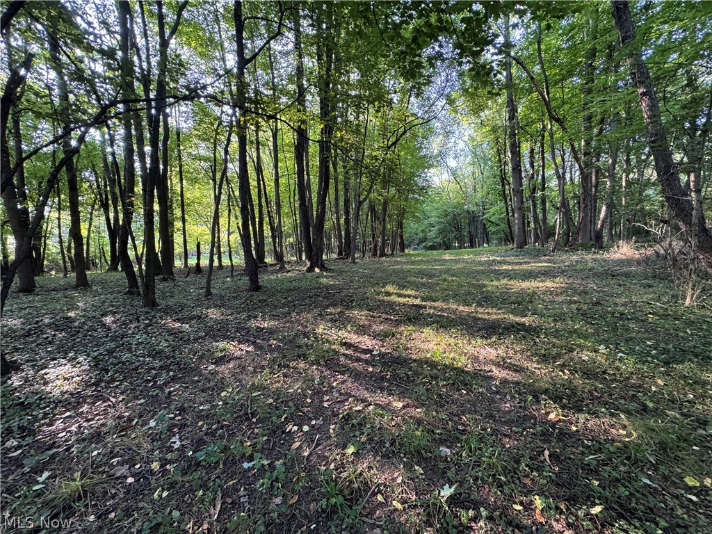 Antone Avenue Tallmadge OH 44278