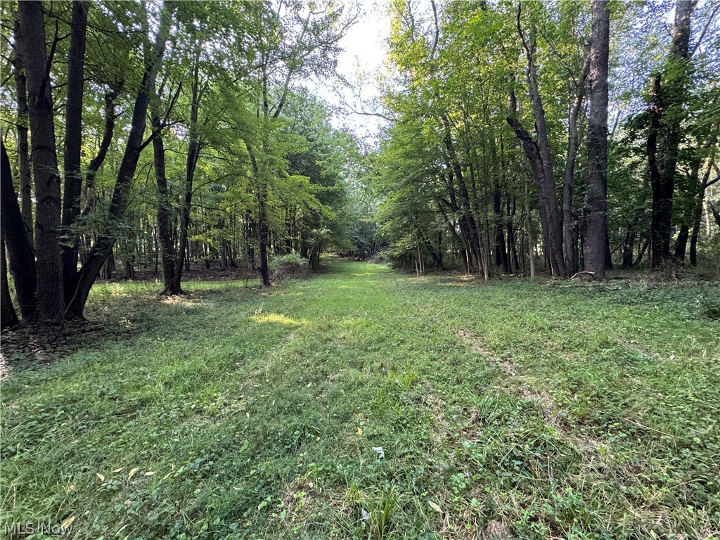 Antone Avenue Tallmadge OH 44278