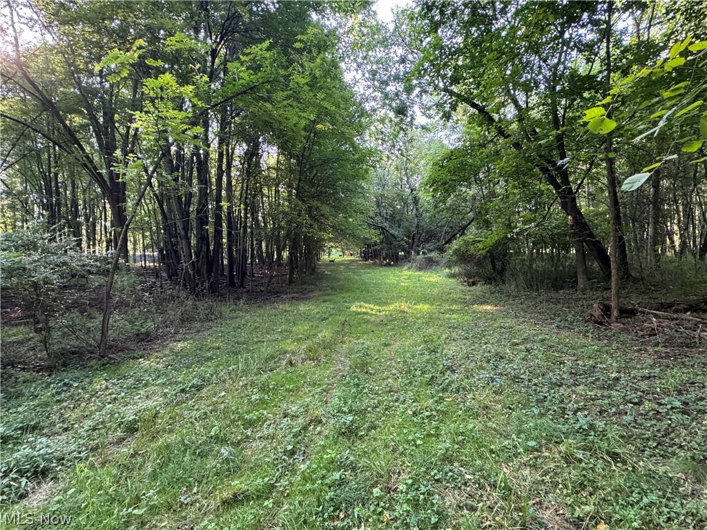 Antone Avenue Tallmadge OH 44278