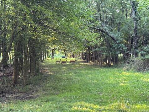 Antone Avenue Tallmadge OH 44278