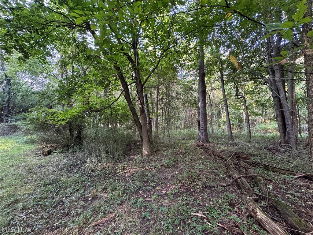 Antone Avenue Tallmadge OH 44278