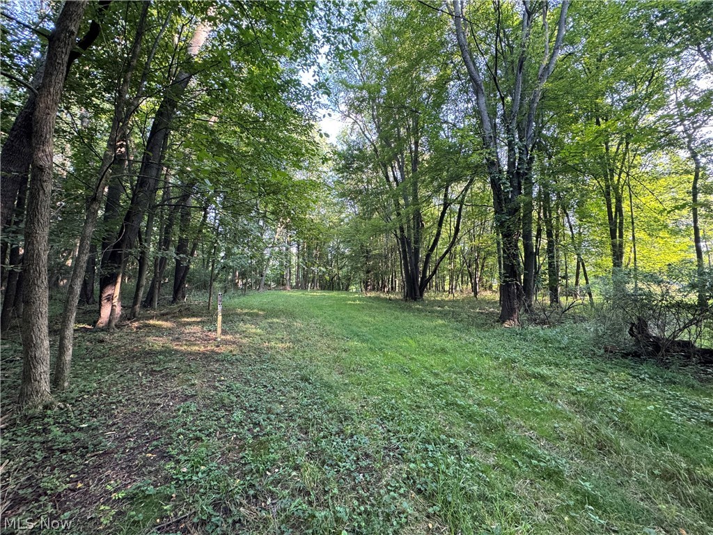 Antone Avenue Tallmadge OH 44278