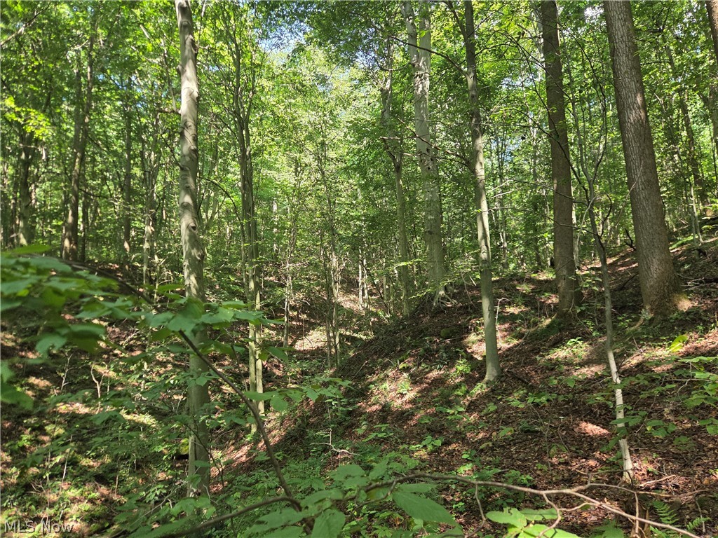 Midvale Mine Road Midvale OH 44653