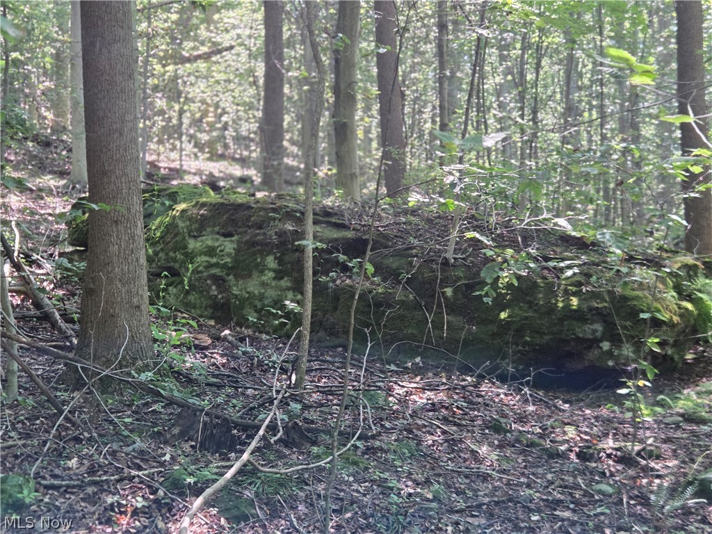 Midvale Mine Road Midvale OH 44653