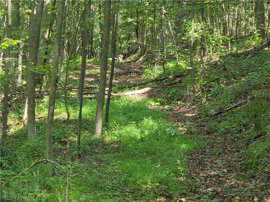 Midvale Mine Road Midvale OH 44653