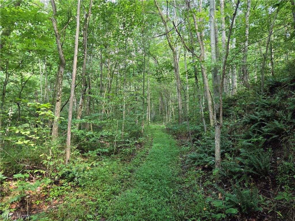 Midvale Mine Road Midvale OH 44653