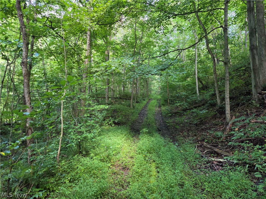 Midvale Mine Road Midvale OH 44653
