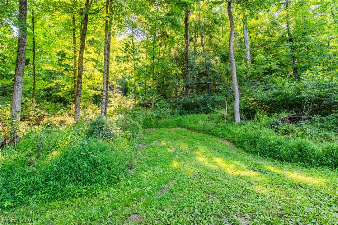 Township Road 427 Coshocton OH 43812