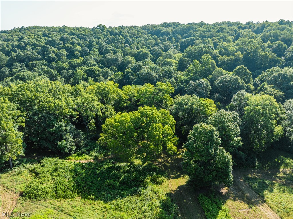 Township Road 427 Coshocton OH 43812