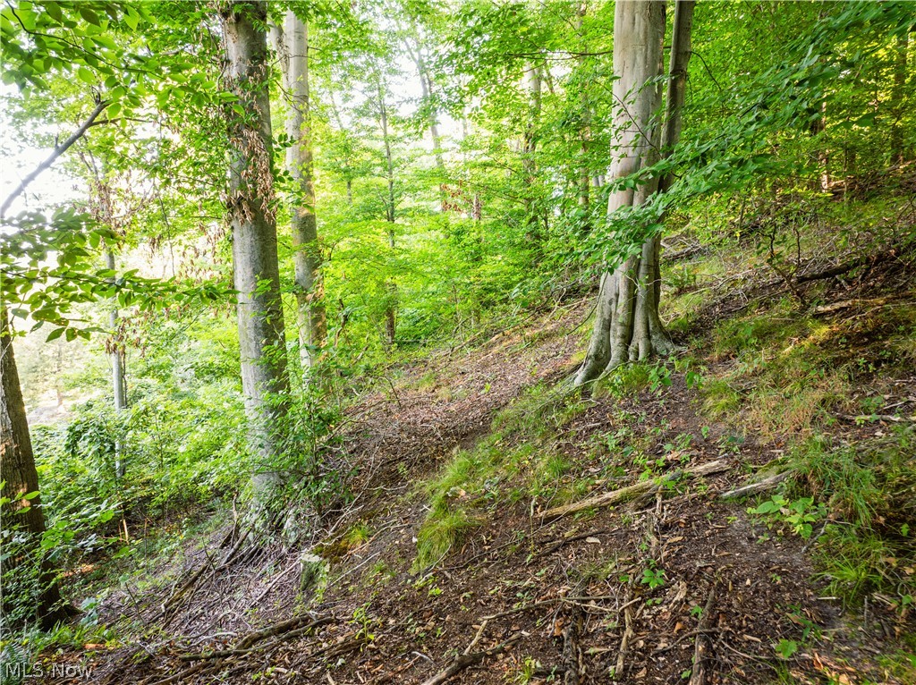 Township Road 427 Coshocton OH 43812