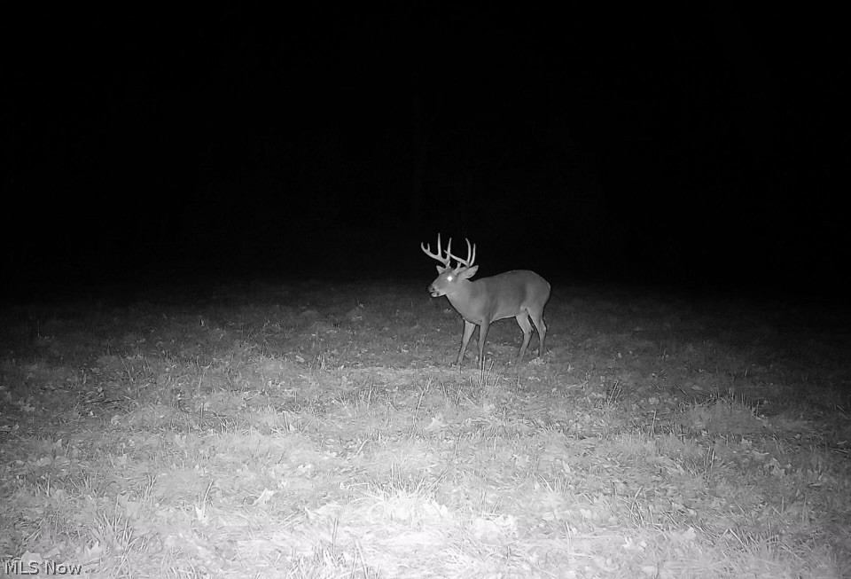 Township Road 427 Coshocton OH 43812