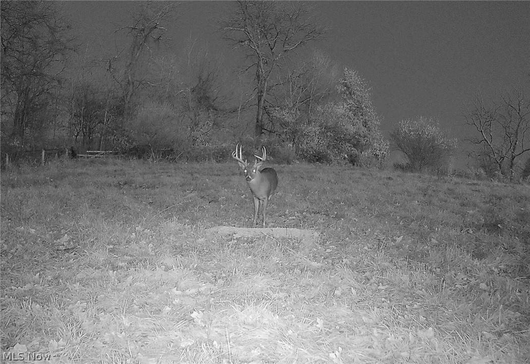 Township Road 427 Coshocton OH 43812