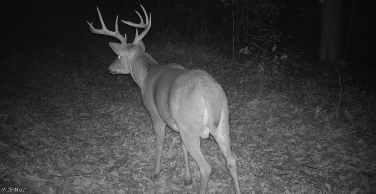 Township Road 427 Coshocton OH 43812