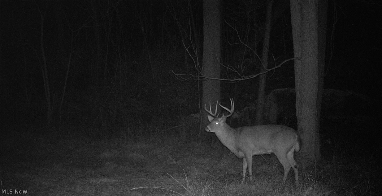 Township Road 427 Coshocton OH 43812
