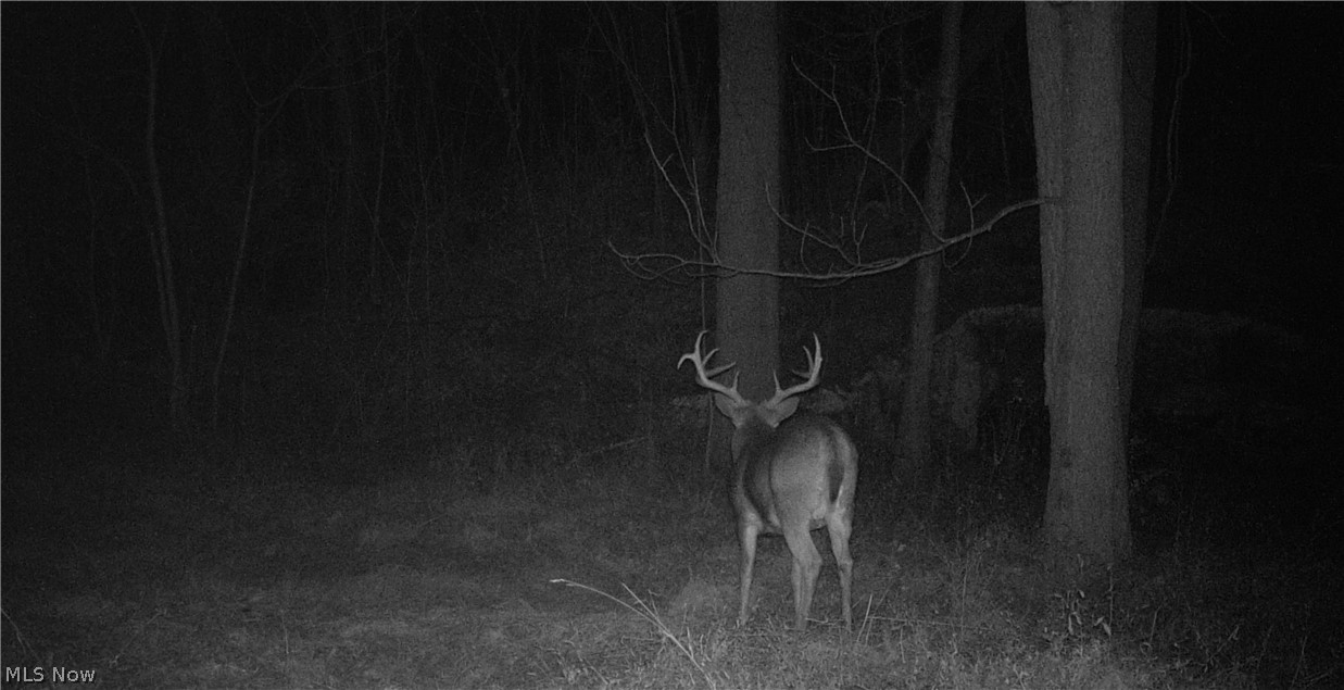 Township Road 427 Coshocton OH 43812