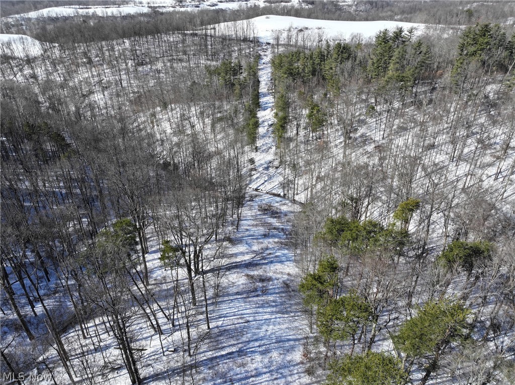 0 Tract 3 Bondi Ridge Road Woodsfield OH 43793