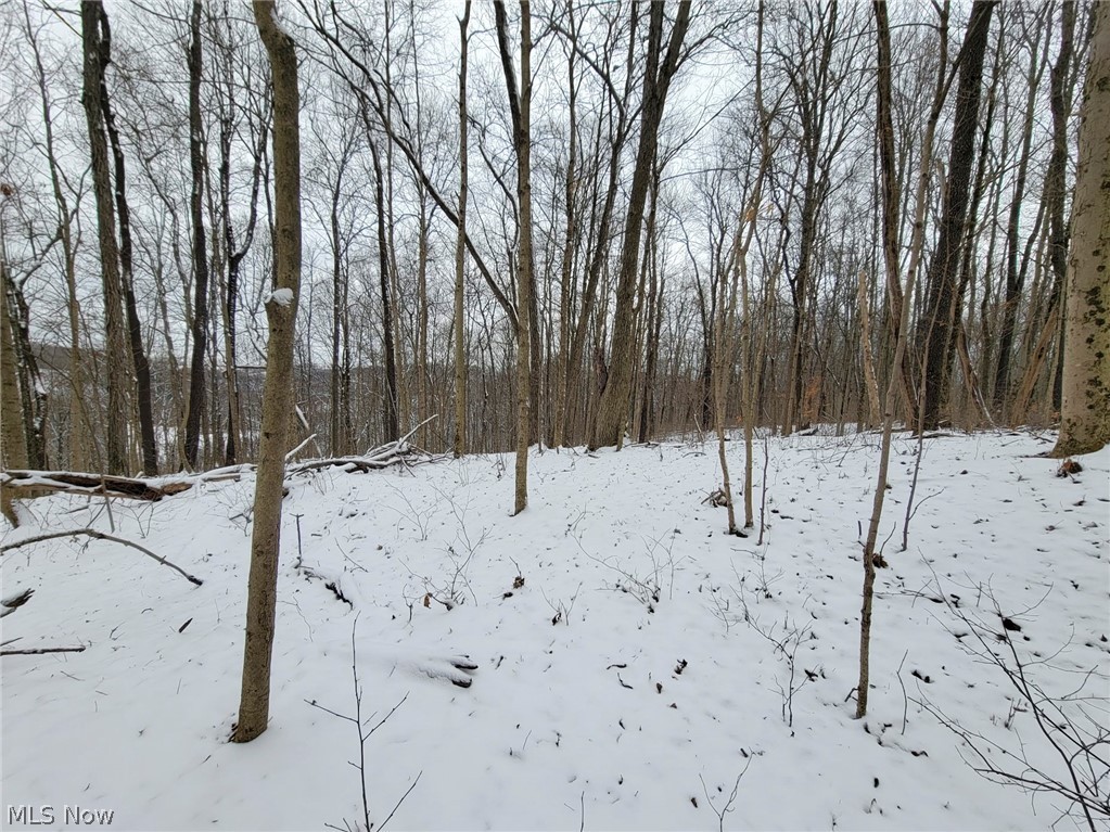 0 Tract 3 Bondi Ridge Road Woodsfield OH 43793