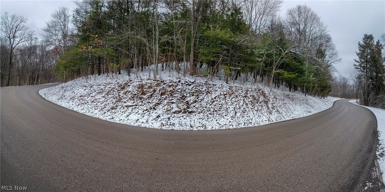 0 Tract 3 Bondi Ridge Road Woodsfield OH 43793