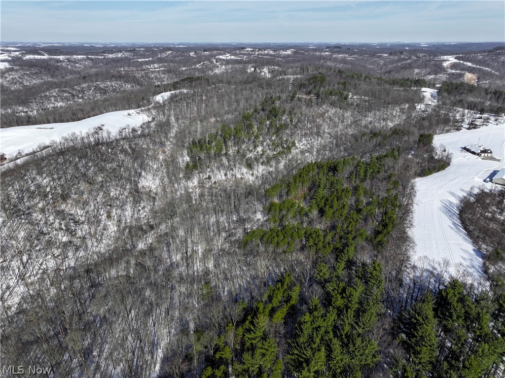 0 Tract 3 Bondi Ridge Road Woodsfield OH 43793
