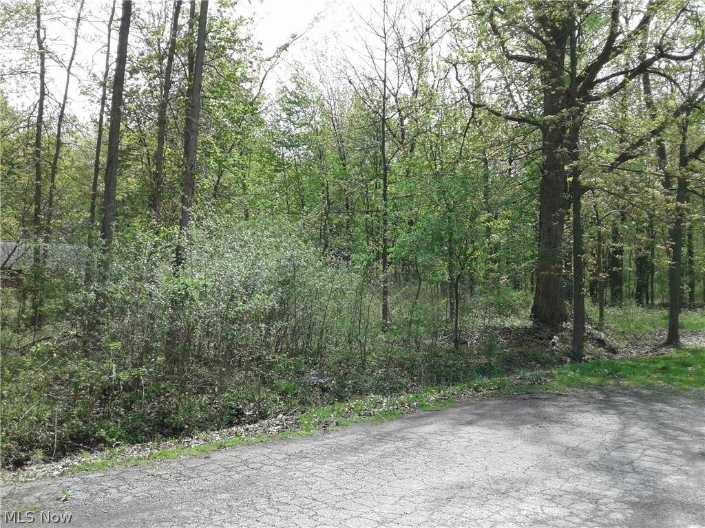 Kenilworth Avenue Sheffield Lake OH 44054