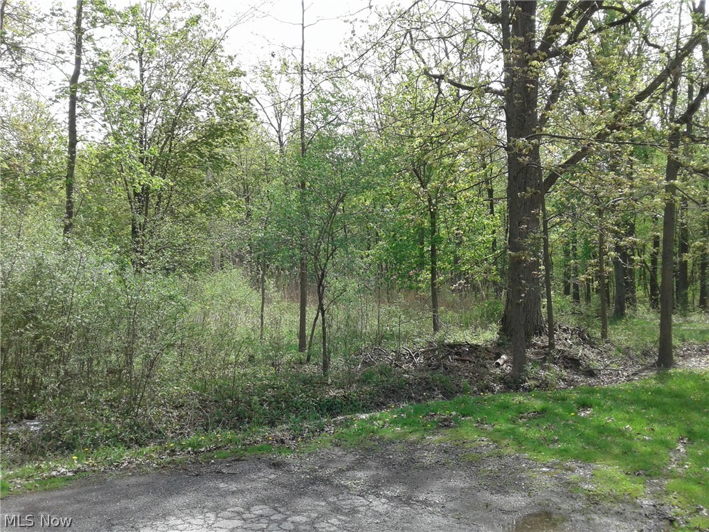Kenilworth Avenue Sheffield Lake OH 44054