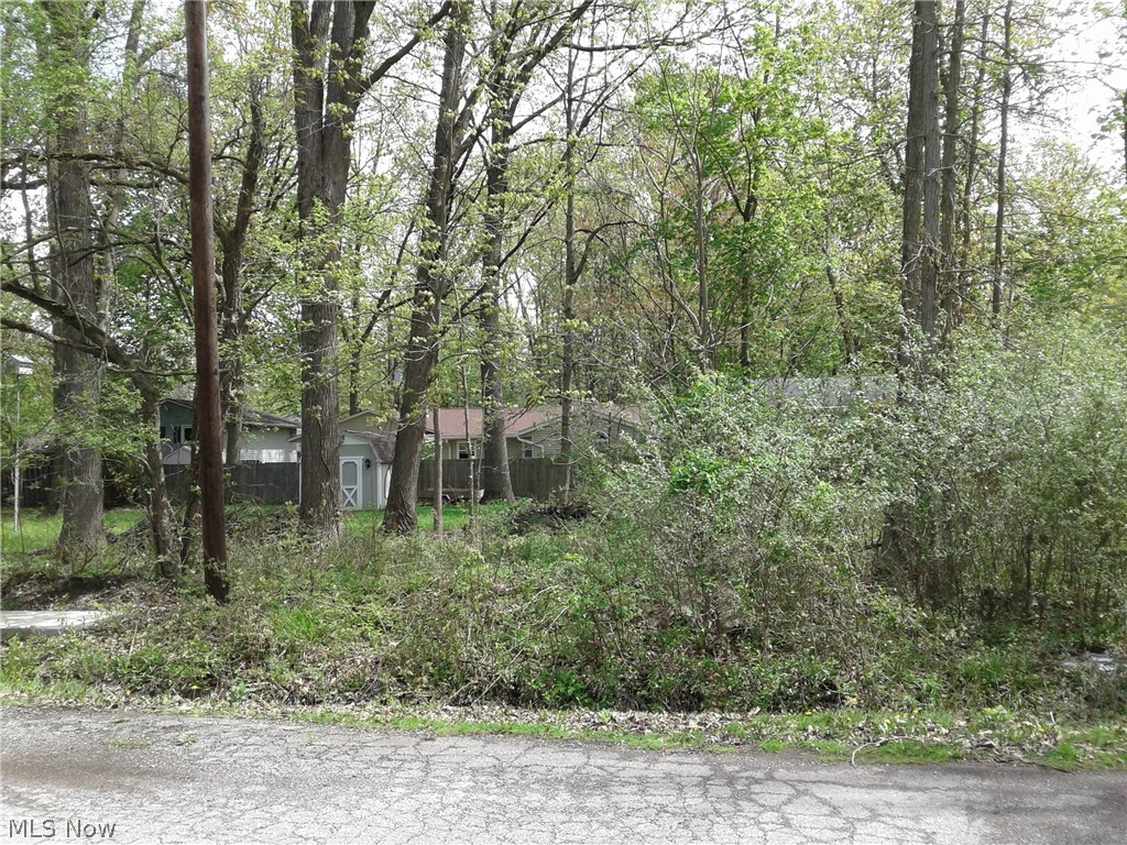 Kenilworth Avenue Sheffield Lake OH 44054