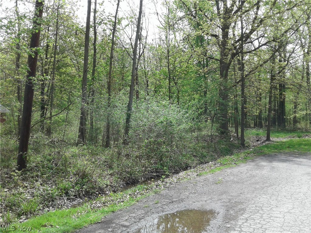 Kenilworth Avenue Sheffield Lake OH 44054