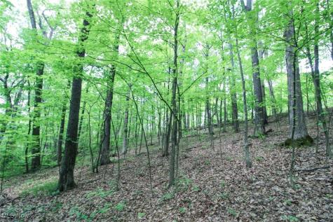 Tract 19 Zion Ridge Road Marietta OH 45750