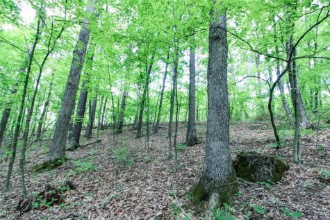Tract 19 Zion Ridge Road Marietta OH 45750
