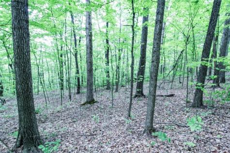 Tract 19 Zion Ridge Road Marietta OH 45750