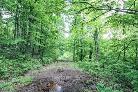 Tract 19 Zion Ridge Road Marietta OH 45750