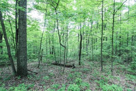 Tract 19 Zion Ridge Road Marietta OH 45750