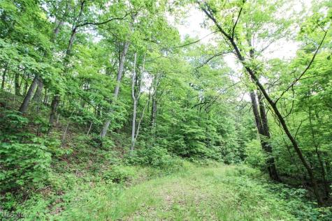Tract 19 Zion Ridge Road Marietta OH 45750