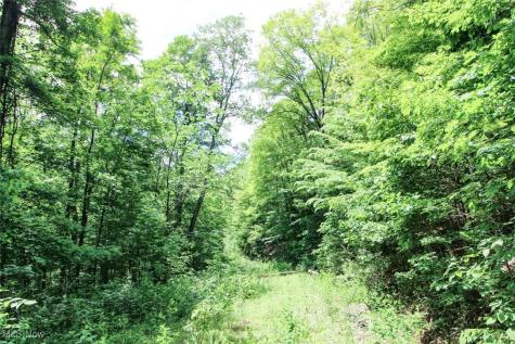 Tract 19 Zion Ridge Road Marietta OH 45750