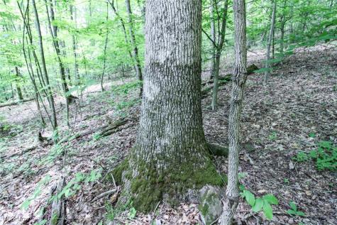 Tract 19 Zion Ridge Road Marietta OH 45750