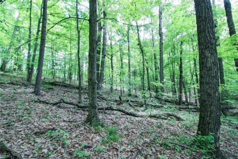 Tract 19 Zion Ridge Road Marietta OH 45750
