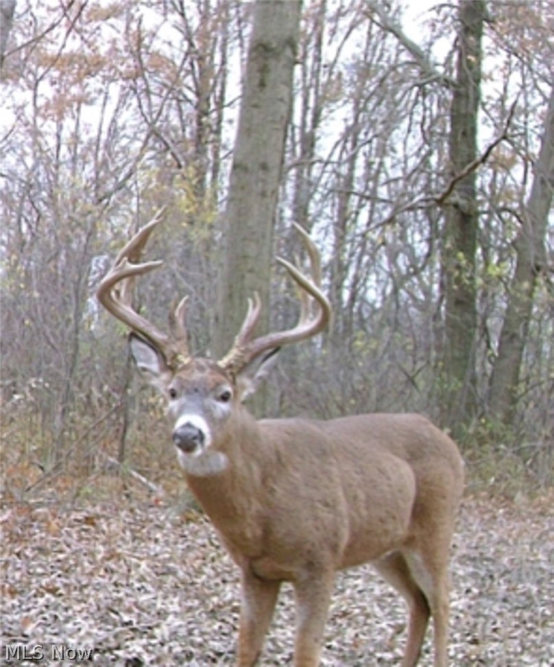 Middle Road Ashtabula OH 44004